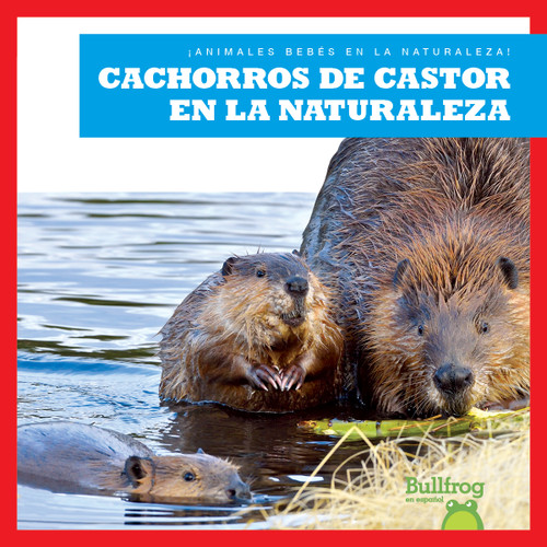Cachorros de castor en la naturaleza (Beaver Kits in the Wild) (Spanish Edition) - 9798885248426 by Katie Chanez, N/A, 9798885248426