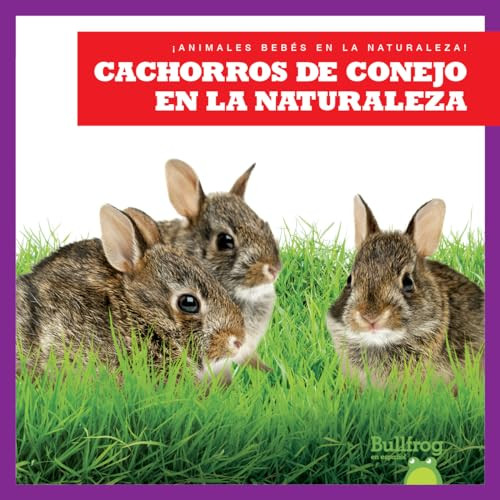 Cachorros de conejo en la naturaleza (Rabbit Kits in the Wild) (Spanish Edition) - 9798885248457 by Katie Chanez, 9798885248457