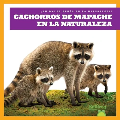 Cachorros de mapache en la naturaleza (Raccoon Cubs in the Wild) (Spanish Edition) - 9798885248488 by Katie Chanez, 9798885248488