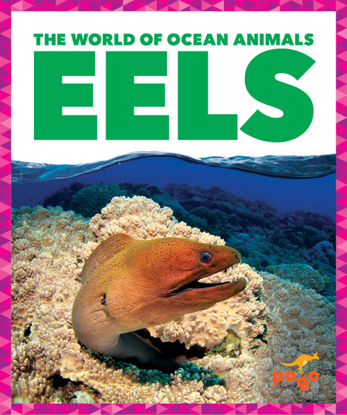 Eels - 9798885245661 by Mari Schuh, N/A, 9798885245661