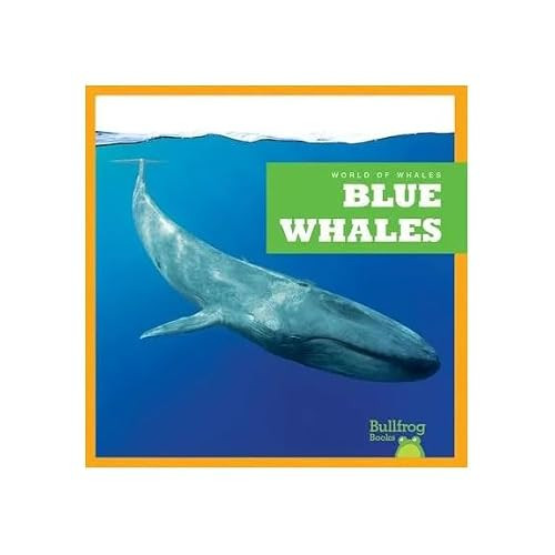 Blue Whales - 9798885245906 by Eliza Leahy, 9798885245906