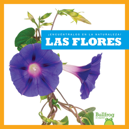 Las flores (Flowers) (Spanish Edition) by Jenna Lee Gleisner, 9798889967415