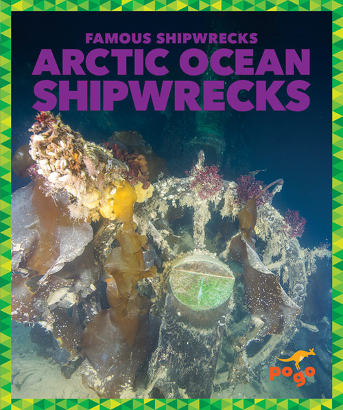 Arctic Ocean Shipwrecks by Michelle Parkin, 9798889966562