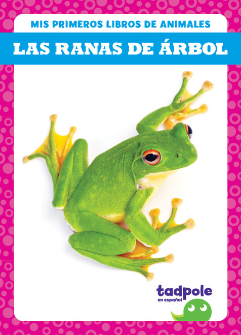 Las ranas de árbol (Tree Frogs) (Spanish Edition) by Natalie Deniston, 9798889967170