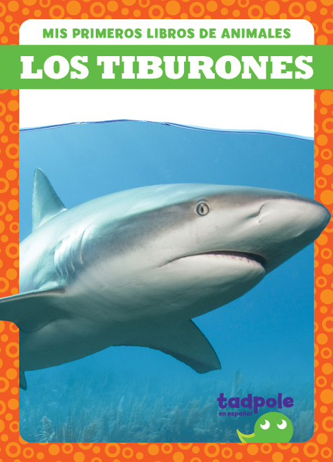 Los tiburones (Sharks) (Spanish Edition) by Natalie Deniston, 9798889967385