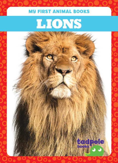 Lions - 9798889965787 by Natalie Deniston, 9798889965787