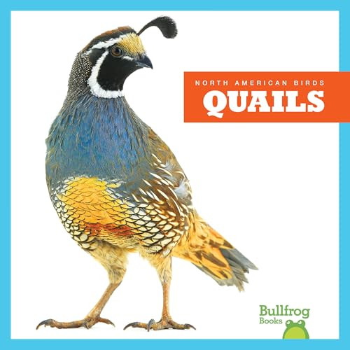 Quails by Rachel Grack, 9798892131162