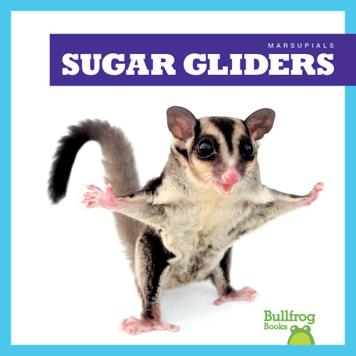 Sugar Gliders by Natalie Deniston, 9798892135252