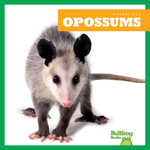 Opossums - 9798892135238 by Natalie Deniston, 9798892135238