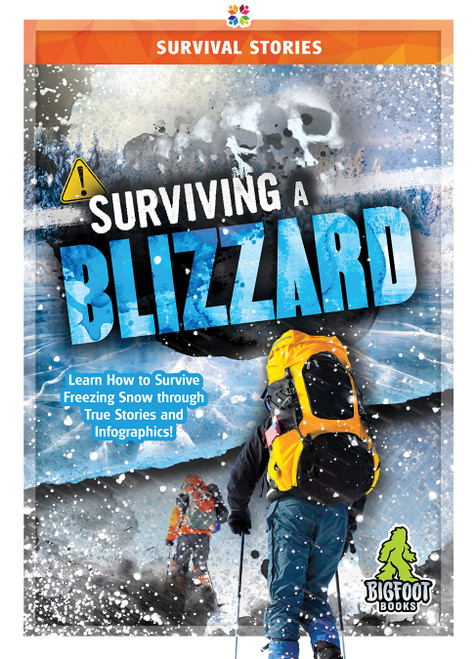 Surviving a Blizzard by Vicki C. Hayes, 9781645192008