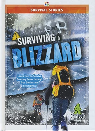 Surviving a Blizzard by Vicki C. Hayes, 9781645192008
