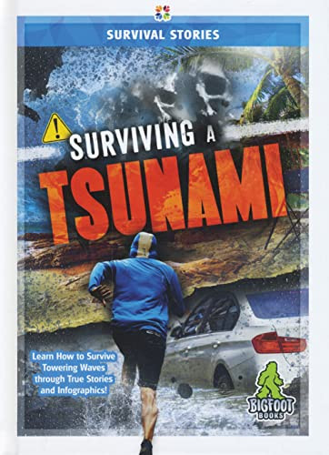 Surviving a Tsunami by Vicki C. Hayes, 9781645192039