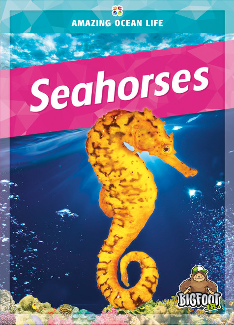 Seahorses - 9781645195634 by Colleen Sexton, 9781645195634