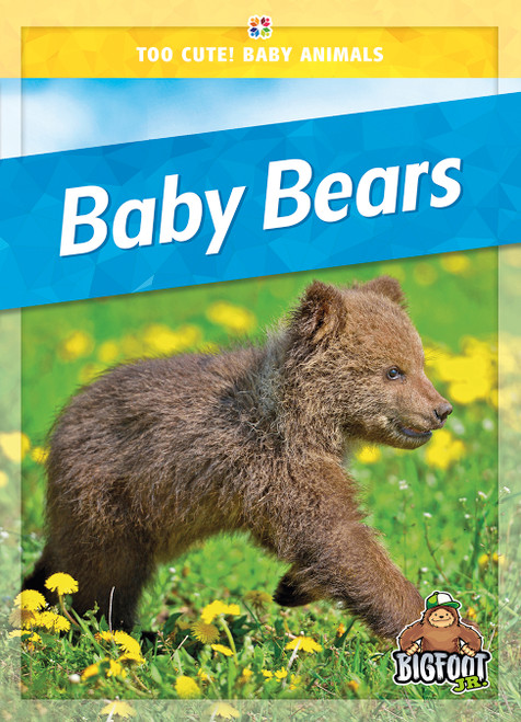 Baby Bears - 9781645196976 by Colleen Sexton, 9781645196976