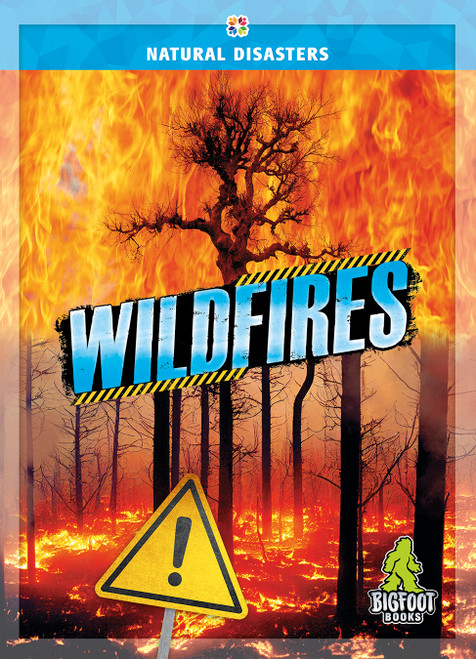 Wildfires - 9781645197447 by Joanne Mattern, 9781645197447