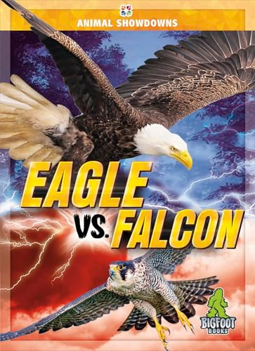 Eagle vs. Falcon by Cynthia O'Brien, 9781645197959
