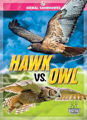 Hawk vs. Owl by Cynthia O'Brien, 9781645197980