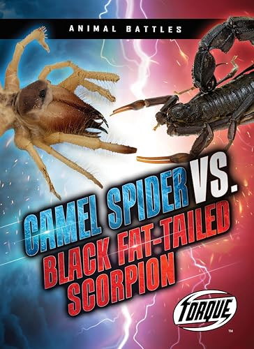 Camel Spider vs. Black Fat-tailed Scorpion - 9798893044133 by Nathan Sommer, 9798893044133