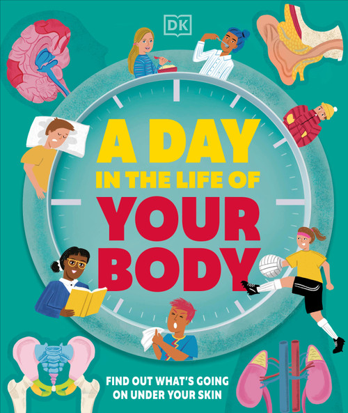 A Day in the Life of Your Body (Find Out What's Going on Under Your Skin) by DK, 9780593972137