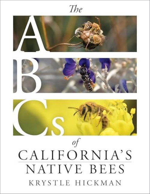The ABCs of California's Native Bees by Krystle Hickman, 9781597146814