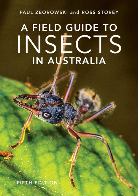 A Field Guide to Insects of Australia by Ross Storey, Paul Zborowski, 9781760796402