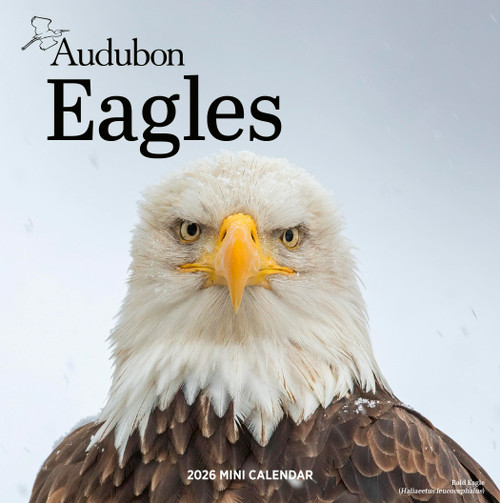 Audubon Eagles Mini Wall Calendar 2026 by Workman Calendars, 9781523531080