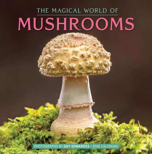 The Magical World of Mushrooms Wall Calendar 2026 by Workman Calendars, Guy Edwardes, 9781523531134