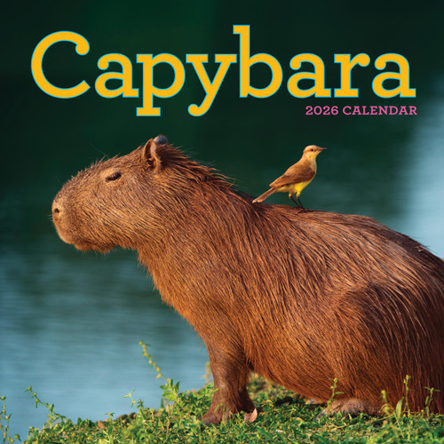 Capybara Wall Calendar 2026 by Workman Calendars, 9781523531240