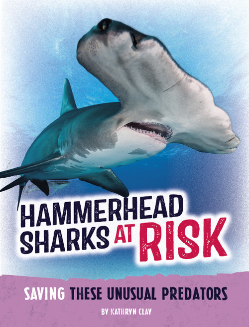Hammerhead Sharks at Risk (Saving These Unusual Predators) by Kathryn Clay, 9798875221743
