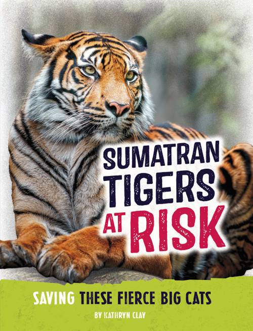 Sumatran Tigers at Risk (Saving These Fierce Big Cats) by Kathryn Clay, 9798875222061