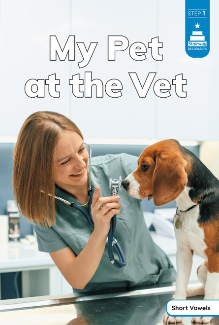 My Pet at the Vet by Laura Stickney, 9798875229275