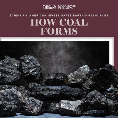 How Coal Forms by Megan Quick, 9781725352643