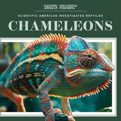 Chameleons - 9781725352827 by Jagger Youssef, 9781725352827