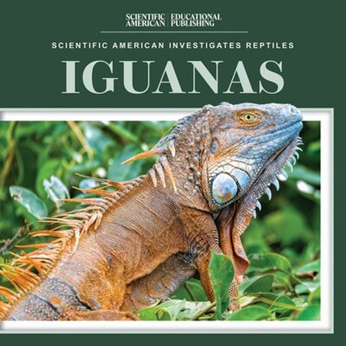 Iguanas - 9781725352926 by Jagger Youssef, 9781725352926