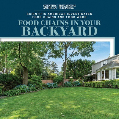 Food Chains in Your Backyard by Rosie Banks, 9781538312490
