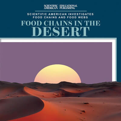 Food Chains in the Desert by Rosie Banks, 9781538312520