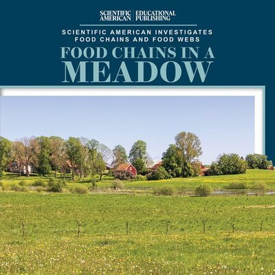 Food Chains in a Meadow by Rosie Banks, 9781538312582