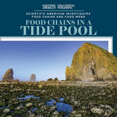 Food Chains in a Tide Pool by Rosie Banks, 9781538312643