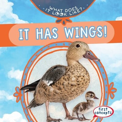 It Has Wings! by Kathleen Connors, 9781482470963