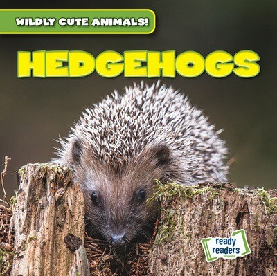 Hedgehogs - 9781482471212 by Kristen Rajczak Nelson, 9781482471212