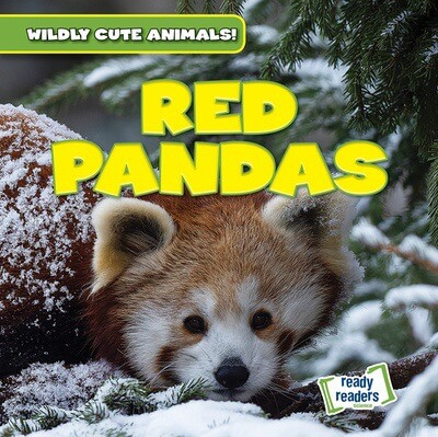 Red Pandas - 9781482471243 by Kristen Rajczak Nelson, 9781482471243