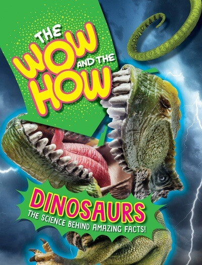 Dinosaurs by Susie Williams, 9781482473063