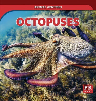 Octopuses - 9781499451924 by Theresa Emminizer, 9781499451924