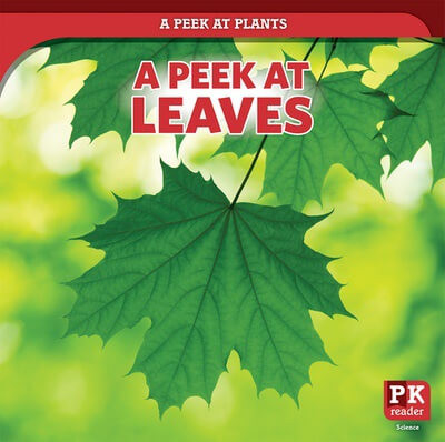 A Peek at Leaves by Doug Bradley, 9781499452006