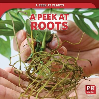 A Peek at Roots - 9781499452044 by Doug Bradley, 9781499452044