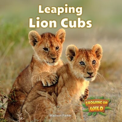 Leaping Lion Cubs - 9781978574090 by Madison Parker, 9781978574090