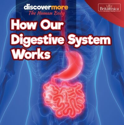 How Our Digestive System Works - 9781641904407 by Dwight Morris, 9781641904407