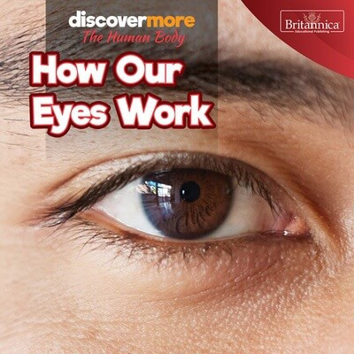 How Our Eyes Work by Dwight Morris, 9781641904421