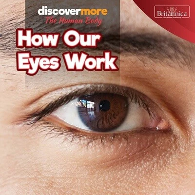 How Our Eyes Work by Dwight Morris, 9781641904421