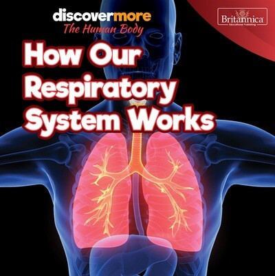 How Our Respiratory System Works - 9781641905060 by Dwight Morris, 9781641905060